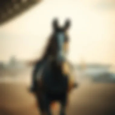 Magnificent 이스라엘 토요일 로또에 대한 심층 분석 Magnificent 이스라엘 토요일 로또에 대한 심층 분석
