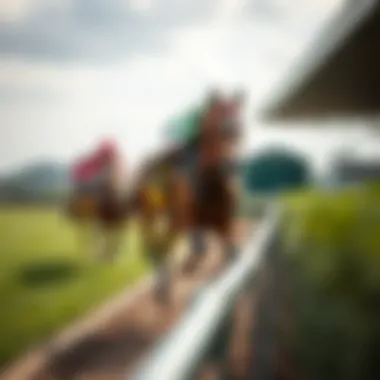 The Evolution of Online Horse Racing Platforms The evolution of online horse racing platforms