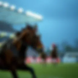 오늘 축구 경기는 몇 시에 시작하나요? Introduction